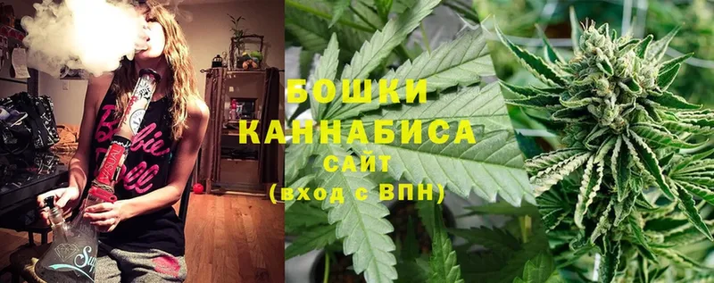 МЕГА   Котельниково  Бошки Шишки OG Kush 